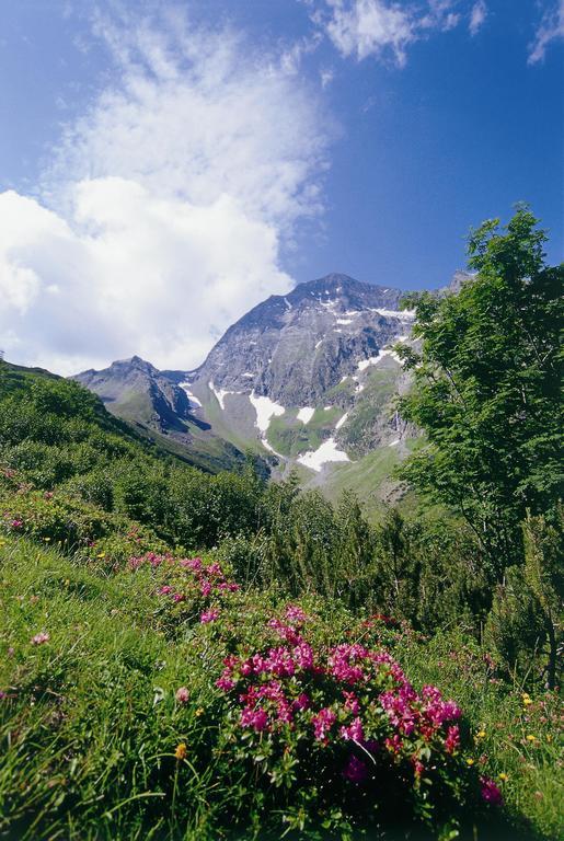 Apartment Hildegard Neustift im Stubaital Værelse billede